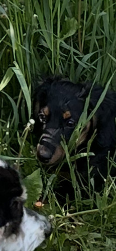 Gs C0sPaYAAGOu6.jpg