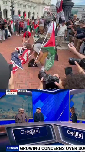 5tN4jrVu3D xznWj.jpg
