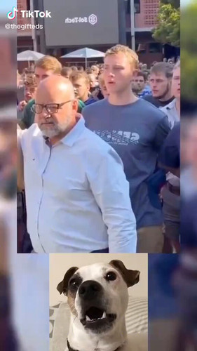 JNUJwL32PmMKtpMl.jpg