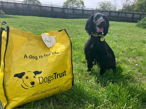 Gs6XLddaoAA7pdP.jpg