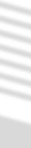 Shadow.png