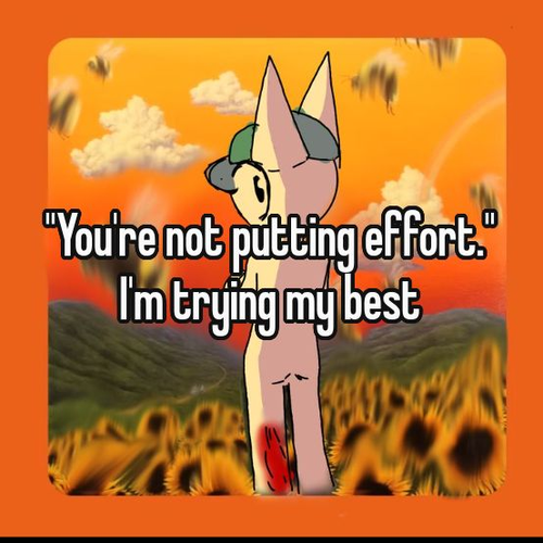 2b90855f85d6.png