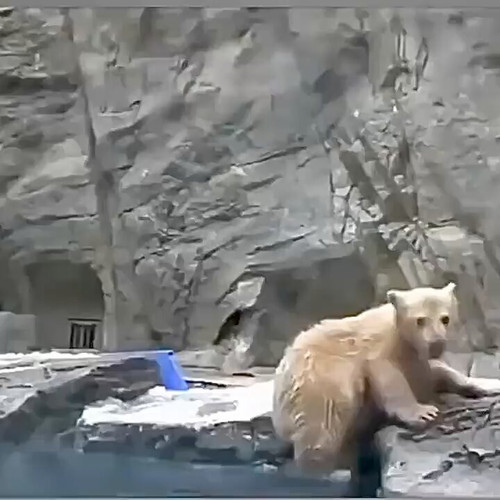 L3u7kPwXfPedEqz1.jpg