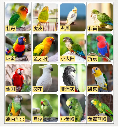 Screenshot 2025 06 09 21 22 46 654 com.xingin.xhs edit.jpg