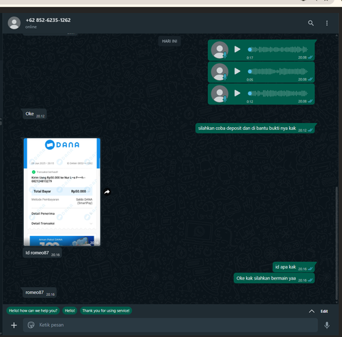 Screenshot 2025 06 09 201658.png