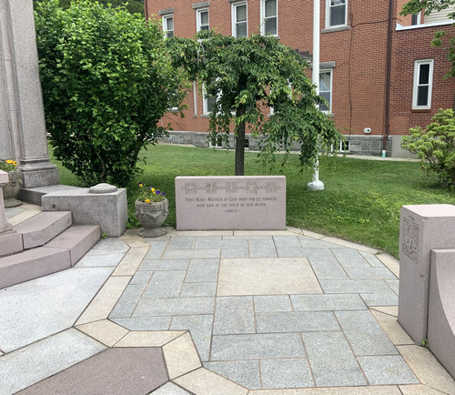 IMG 0338.jpg