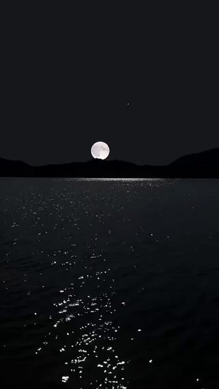 c6BPKZ9bzSmqND M.jpg