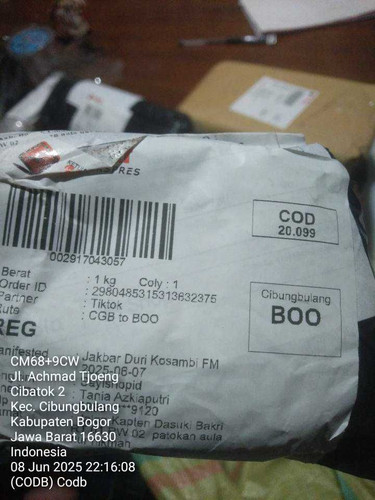 codb.jpg