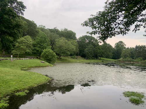 IMG 0407.jpg