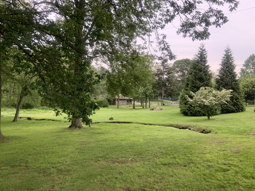 IMG 0361.jpg