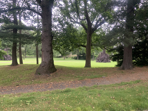 IMG 0423.jpg