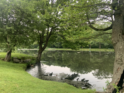 IMG 0381.jpg