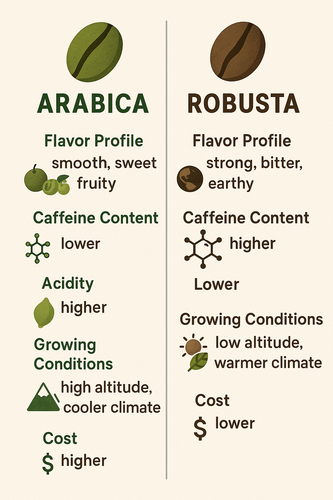 openai generated image 1749456908.png