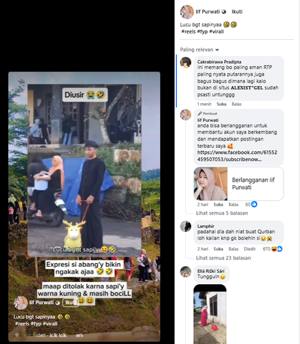 Screenshot 15.png