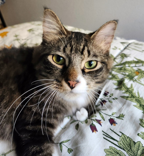 499596766 654155264326018 7874844465812765703 n.jpg