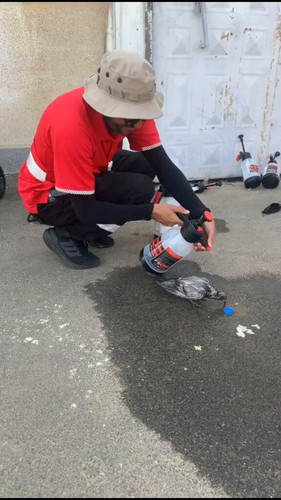 48E3zbAnTMMOscp .jpg