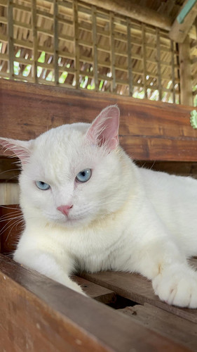 505737327 1013500377613236 5855136799657247020 n.jpg