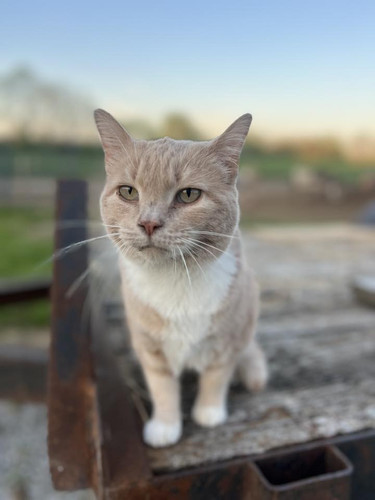 505740818 754049010301562 1867583183972788280 n.jpg