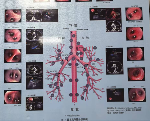 微信图片 20250610103843.png