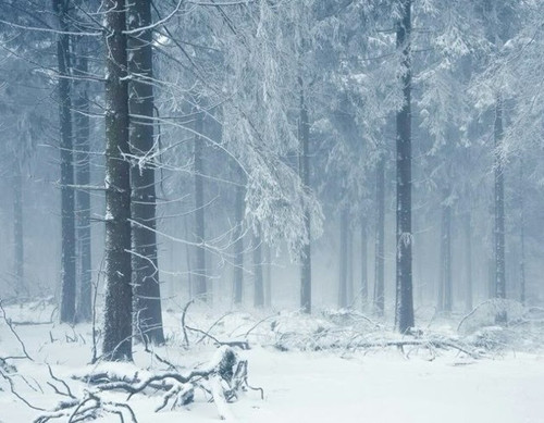 download (5) (1).jpg