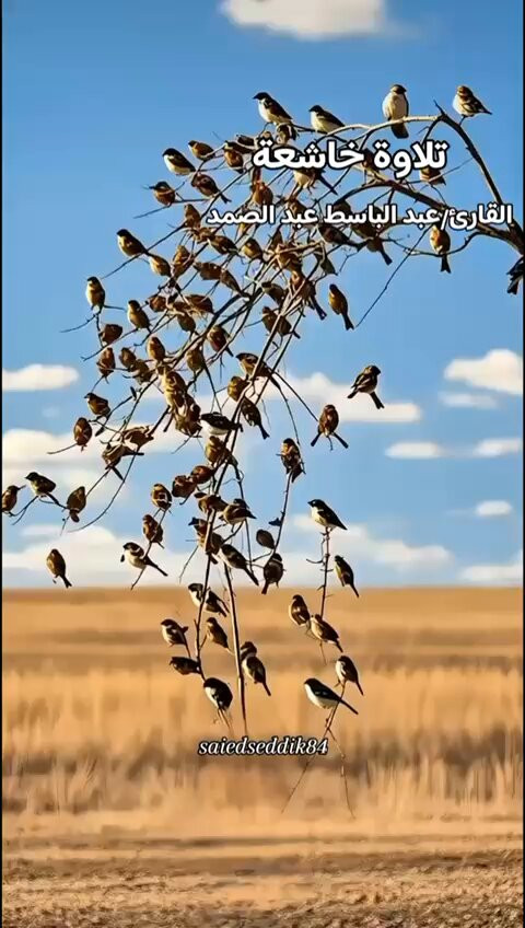 E 1UXYaCNGe97Qg4.jpg