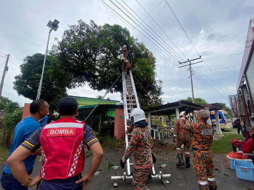 turunkan mayat 1749380498.jpg