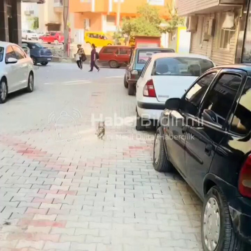 uv qA0RGgjA feHG.jpg