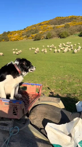 ZozBo cyjY8a9WSk.jpg