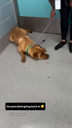 z3T66nG3Xw 6CFMK.jpg