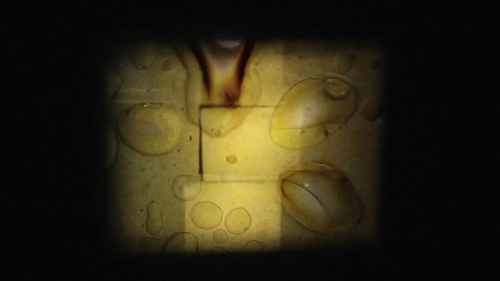 vlcsnap 2025 06 09 11h20m36s588.png