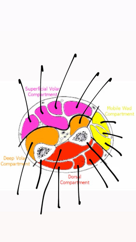 f64e6c538f4e.jpg