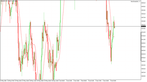 XAUUSD H1 20250609 110000.png