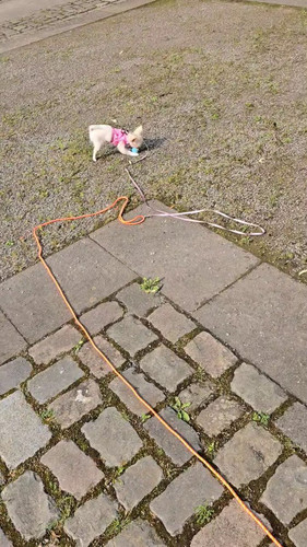 0 3t5k kDbVgxx7Y.jpg