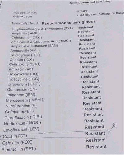 Gs2lwSBWsAAnbpA?format=jpg.jpg