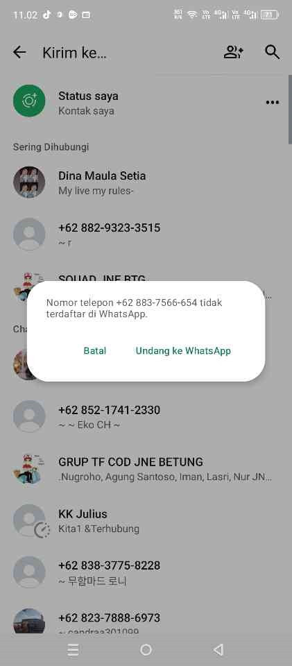 300020004474525 BPK HJ NGATIRIN IBU KARYATI.jpg