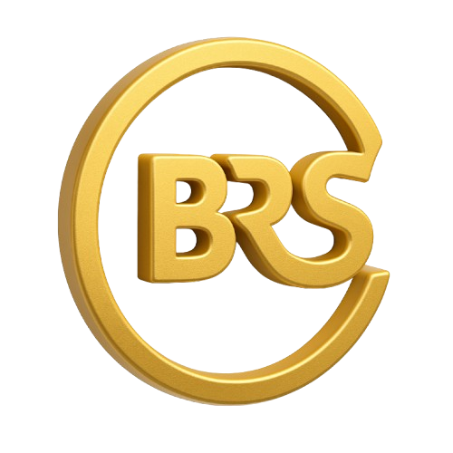 ChatGPT Image Jun 8 2025 08 19 39 PM removebg preview (1).png