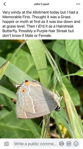Gs8QUNMWAAAkPEw.jpg