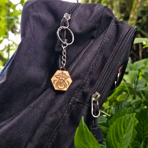 20250601 170518.webp