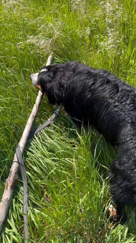 fU40lE Ea W8Vxw9.jpg