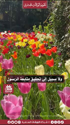 SXI7TjYJZz0lQ jG.jpg