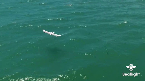 MOta MOTLkPrCi9L.jpg