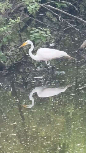 uKwqGuYw mrfqm g.jpg