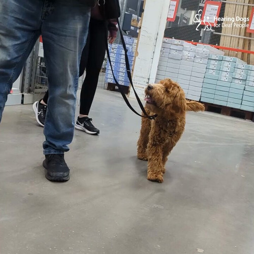 ju0JVYmoLsfiKw l.jpg