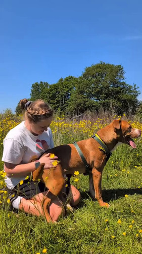 2PxnB6Me0uJcl RO.jpg