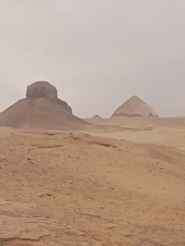 IMG ٢٠٢٥٠٣٣١ ١٥١٩٤١.jpg