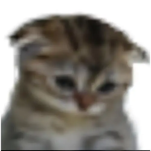 file.webp