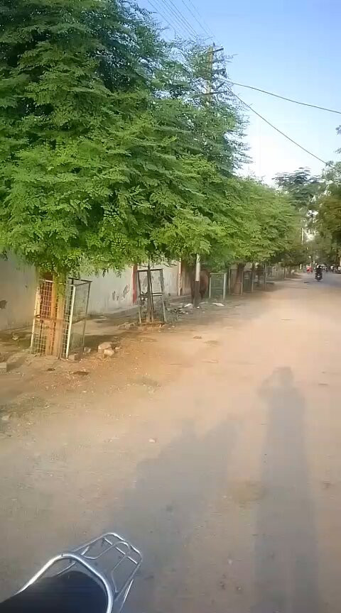 8xPAhPLkHybG8oWy.jpg