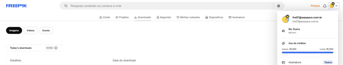 Captura de tela 2025 06 09 111602.png