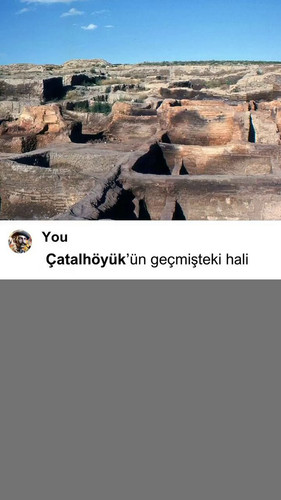 amitAcjq3dLhj3V7.jpg