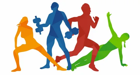 44.03.01 sport.webp